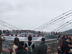 -梦幻奥陶纪景区