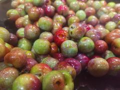 -苏格里岛自助海鲜烤肉(青秀万达店)