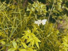-松花湖风景名胜区