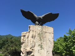 -北京鹫峰国家森林公园