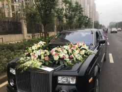 点击看大图 -蚂蚁婚车