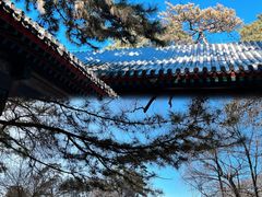 -承德避暑山庄景区