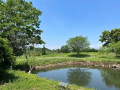 -良渚古城遗址公园