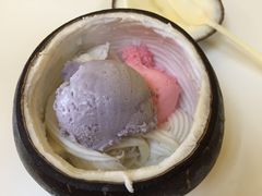 -志龙皇冠吃货椰子铺