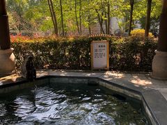 -洪湖悦兮半岛国际温泉度假村