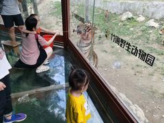 -栾川竹海野生动物园