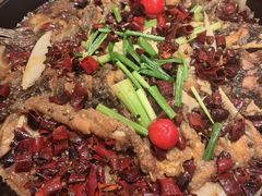 -老板恋上鱼(印象城店)