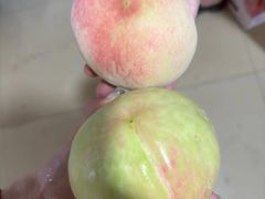 -老袁家蜜桃农场·阳山水蜜桃