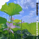 看荷花的好地方！