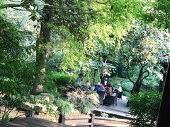 -中国茶叶博物馆(双峰馆区)