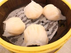-富临皇宫(石门店)