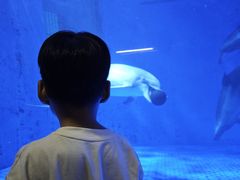 -石家庄极地海洋世界