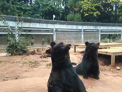 -昆明动物园