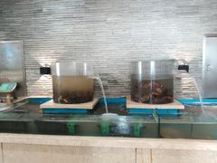 -鹤鸣嘉印象饭店(东市场小区店)