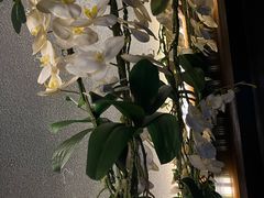 -观唐足道SPA养生会馆(南湖店)