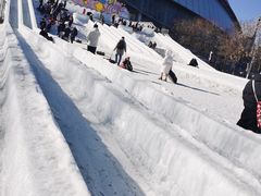 -沈阳奥体冰雪嘉年华