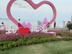 -野狸岛
