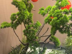 -李记搅团•非遗陕菜(三桥店)