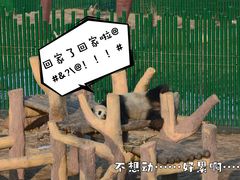 -沈阳森林动物园