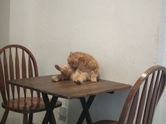 -猫友咖啡店(玉林西路店)