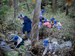 -甲乙果 美术书法(通州校区)