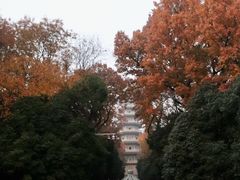 -灵谷景区