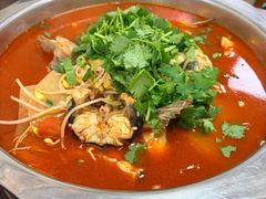 -陈记贵州遵义羊肉粉·酸汤鱼(法华镇路店)