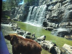 -北京野生动物园