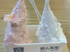 -野人先生Gelato(上海长宁龙之梦店)