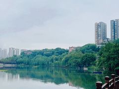 -重庆彩云湖湿地公园