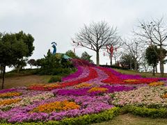 -东莞植物园