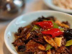 -新侨小馆(东直门北小街店)