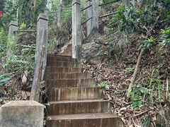 -滴水岩森林公园