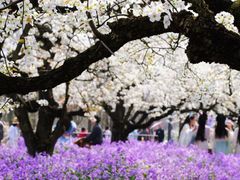 -江苏三台山国家森林公园