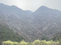 -西安金龙峡风景区