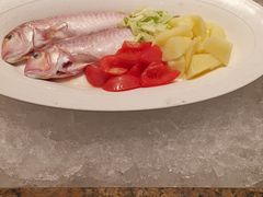 -高佳庄·舟山海鲜(海景旗舰店)