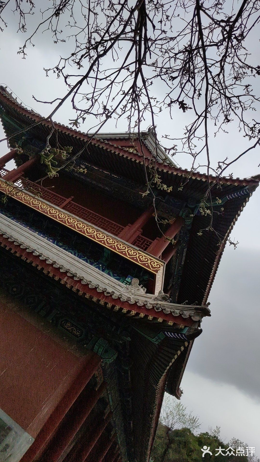 60岁以上的叔叔阿姨免票，我是在大众点评上预约的