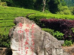 -敬亭山风景名胜区