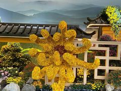 -杭州植物园