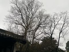 -大明寺素斋