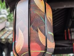 -南京民俗博物馆(甘熙故居)