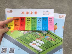 -前小桔亲子创意农场·草莓采摘·露营烧烤