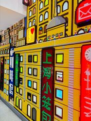 -乐高品牌旗舰店(人民广场店)