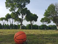 -漕湖湿地公园