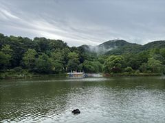 -广州市帽峰山景区