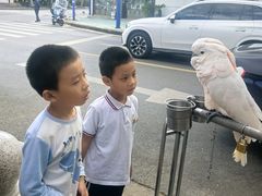 -四海楼(如皋定慧禅寺店)