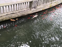 -韶山毛泽东同志故居