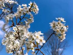 -丽江泸沽湖景区