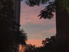 -君悦酒店·La Terrazza意合園·意式风味