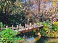 -广州兰圃
